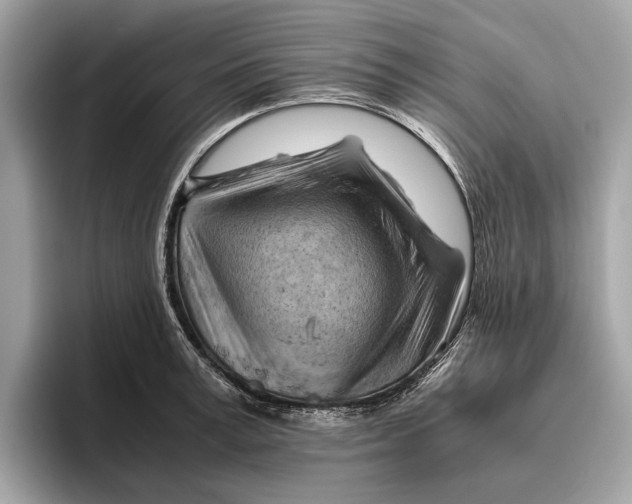 X0000096440995200802141448