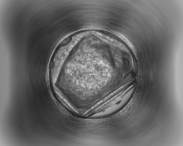 X0000096440996200802141448