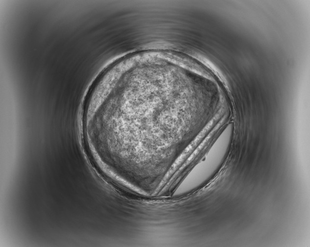 X0000096441000200802141448