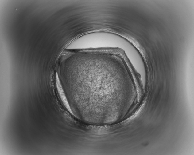 X0000096441001200802141448