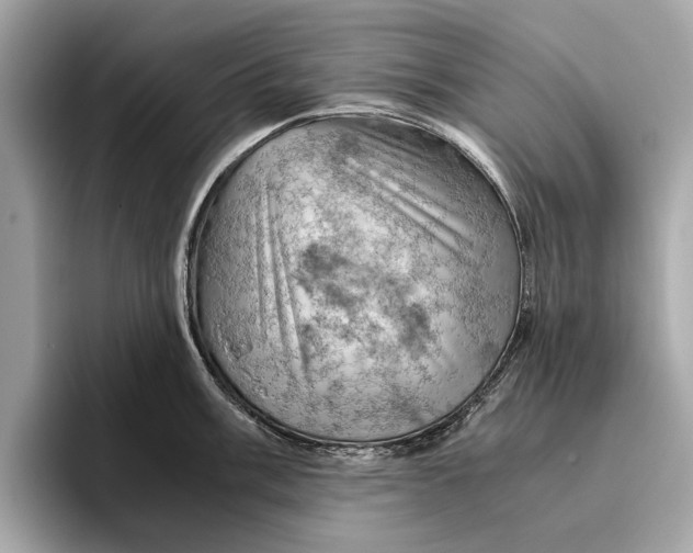 X0000096441003200802141448