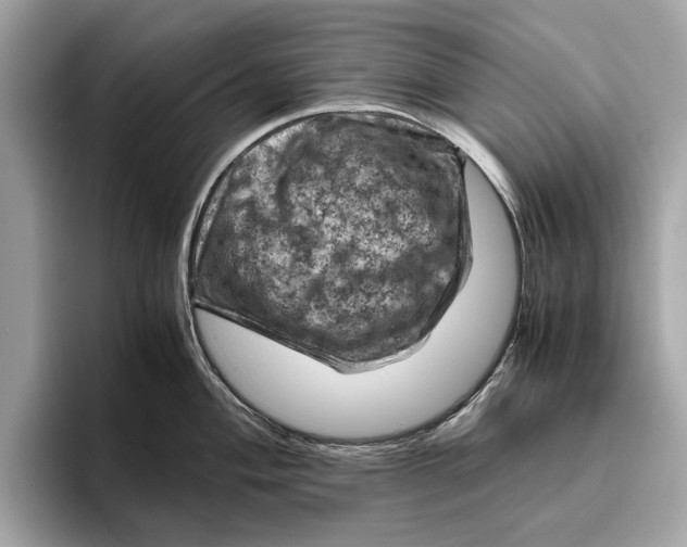 X0000096441004200802141448