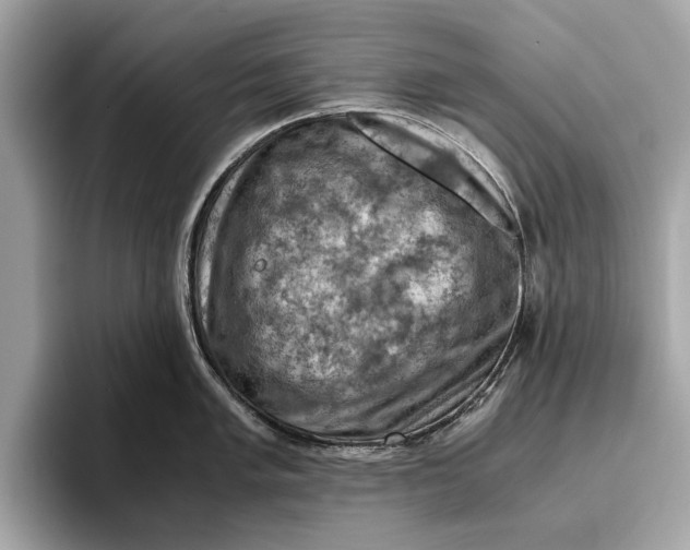 X0000096441005200802141448