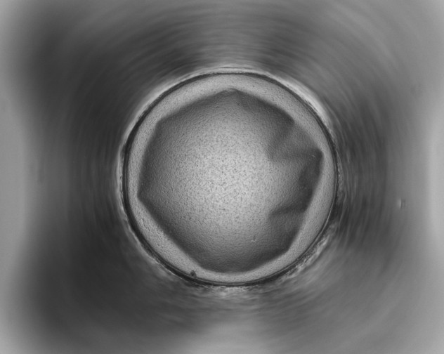 X0000096441006200802141448