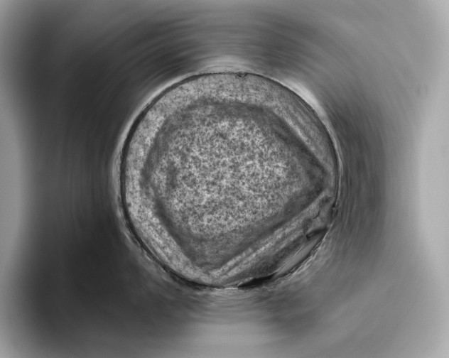 X0000096441008200802141448