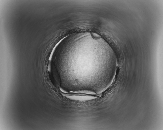 X0000096441009200802141447