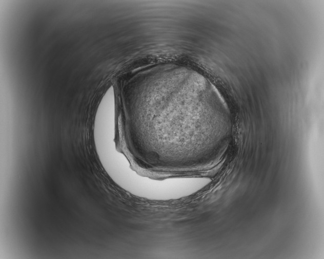 X0000096441010200802141447