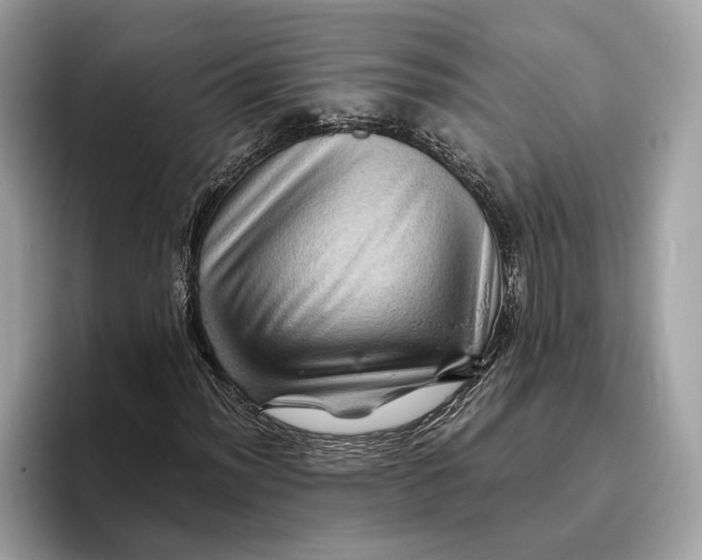 X0000096441012200802141447