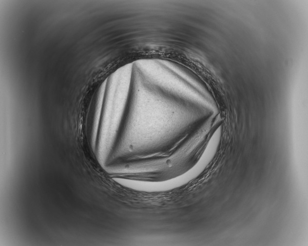 X0000096441013200802141447