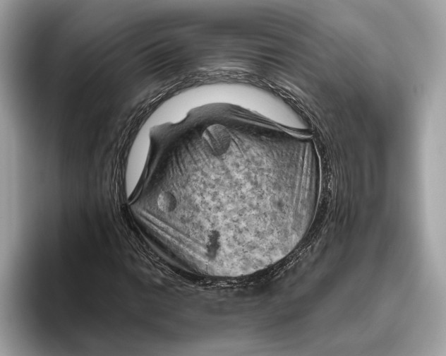 X0000096441014200802141447