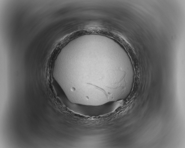 X0000096441016200802141447