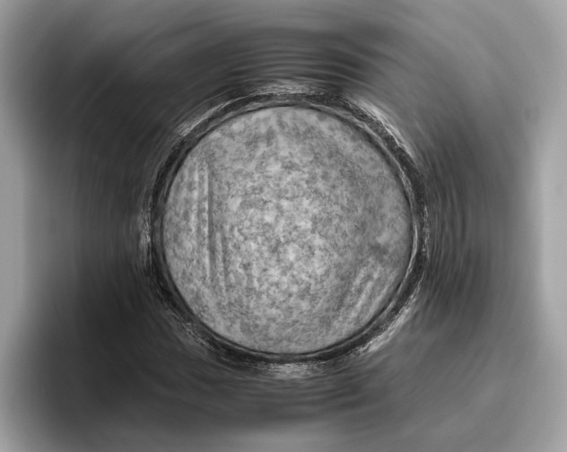 X0000096441017200802141447