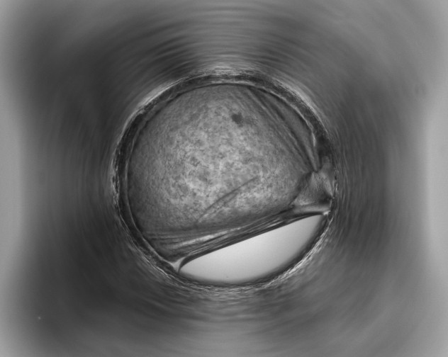 X0000096441018200802141447