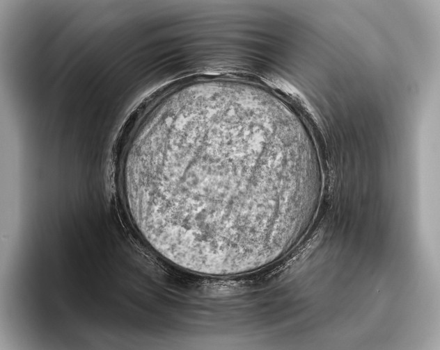 X0000096441019200802141447