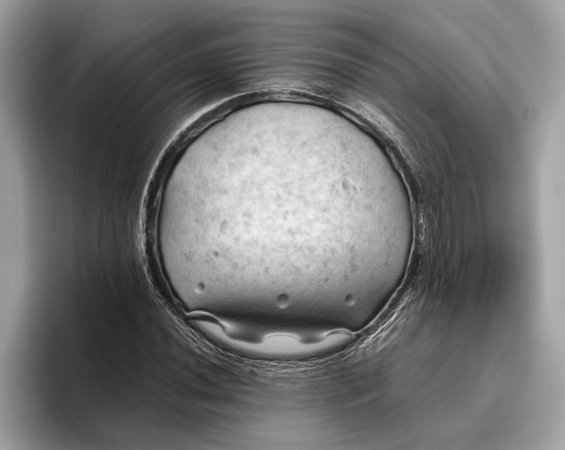 X0000096441020200802141447