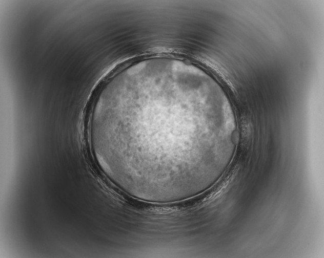 X0000096441023200802141447