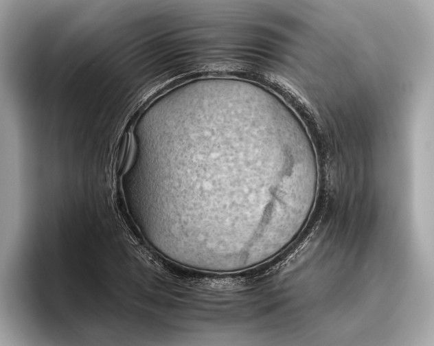 X0000096441025200802141447