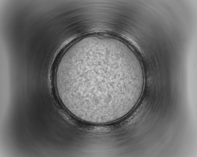 X0000096441026200802141447