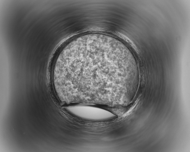 X0000096441027200802141447