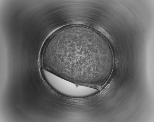 X0000096441028200802141447