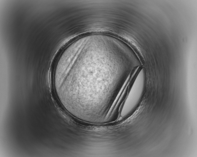 X0000096441030200802141448