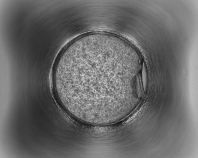 X0000096441032200802141448