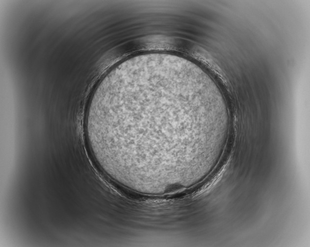 X0000096441033200802141448