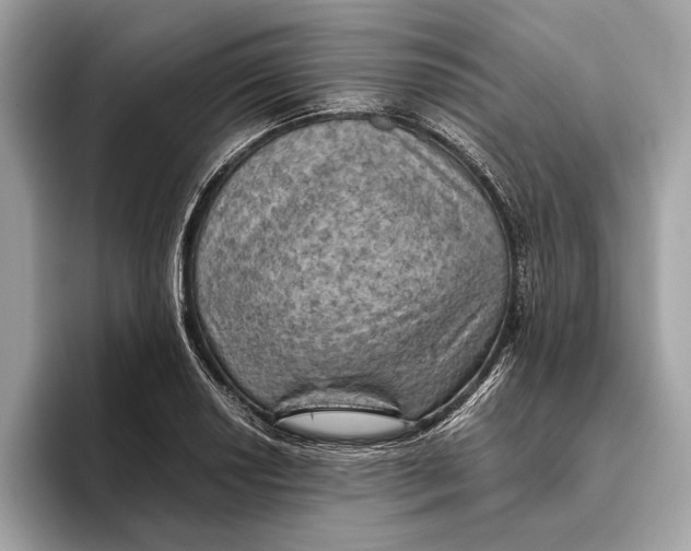 X0000096441034200802141448