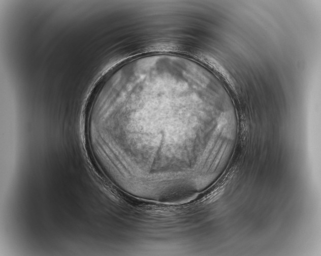 X0000096441035200802141448