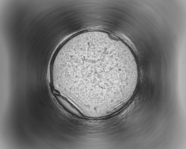 X0000096441036200802141448