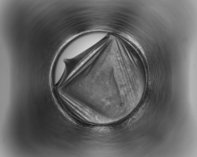 X0000096441037200802141448