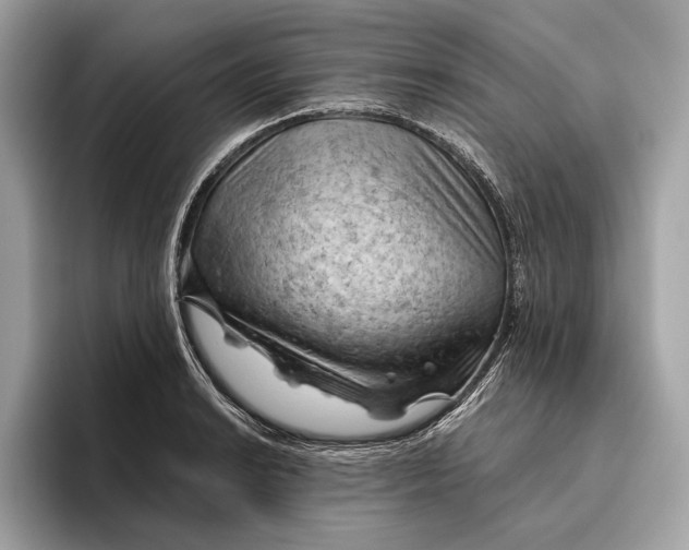 X0000096441038200802141448