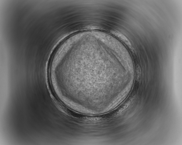 X0000096441039200802141448