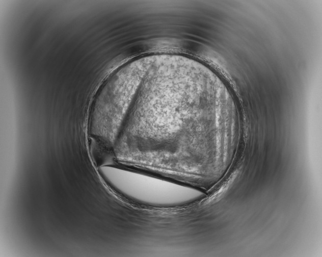 X0000096441041200802141448