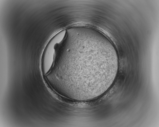 X0000096441042200802141448