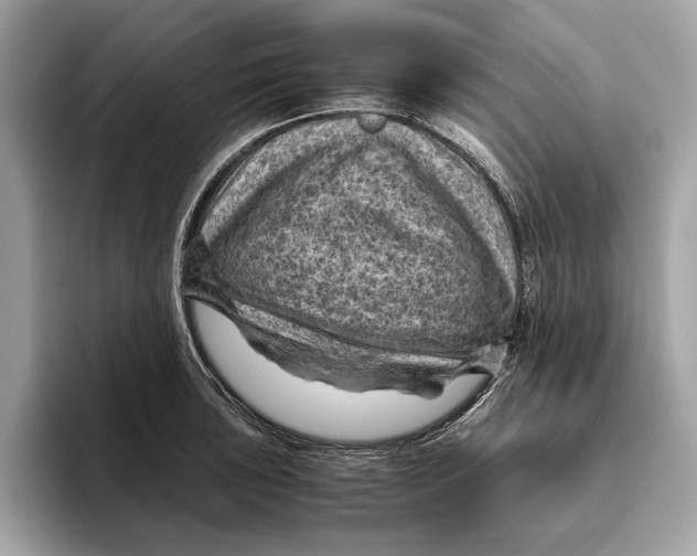 X0000096441043200802141448