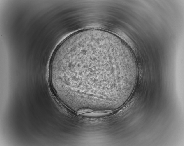 X0000096441044200802141448