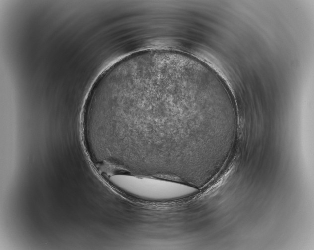 X0000096441045200802141448