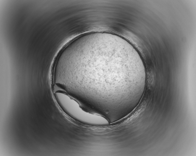 X0000096441046200802141448