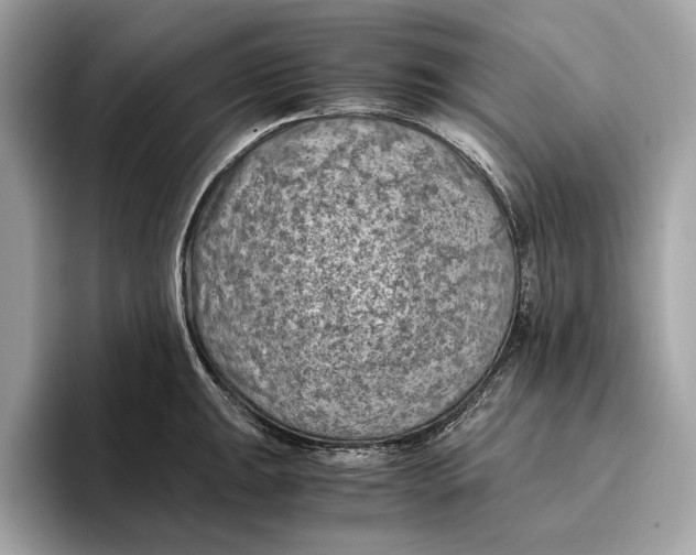 X0000096441047200802141448