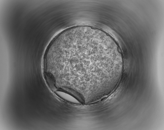 X0000096441048200802141448