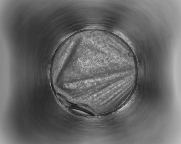 X0000096441049200802141448