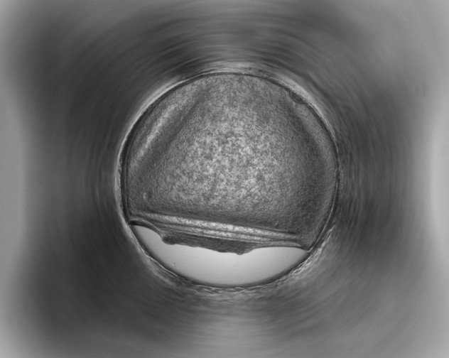 X0000096441050200802141448