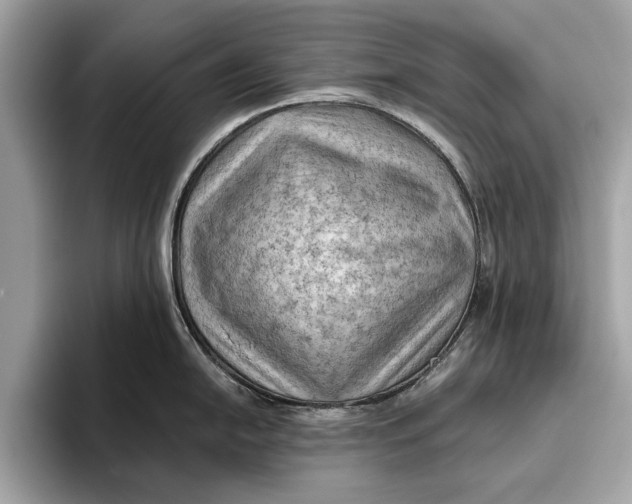 X0000096441054200802141448