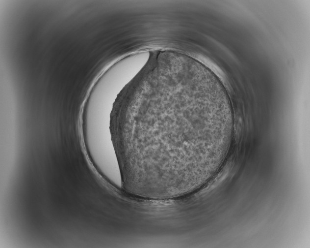 X0000096441055200802141448