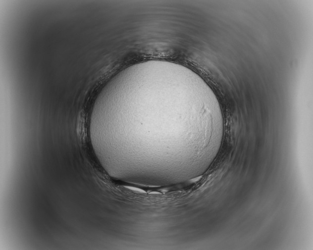 X0000096441058200802141447