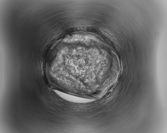 X0000096441060200802141447