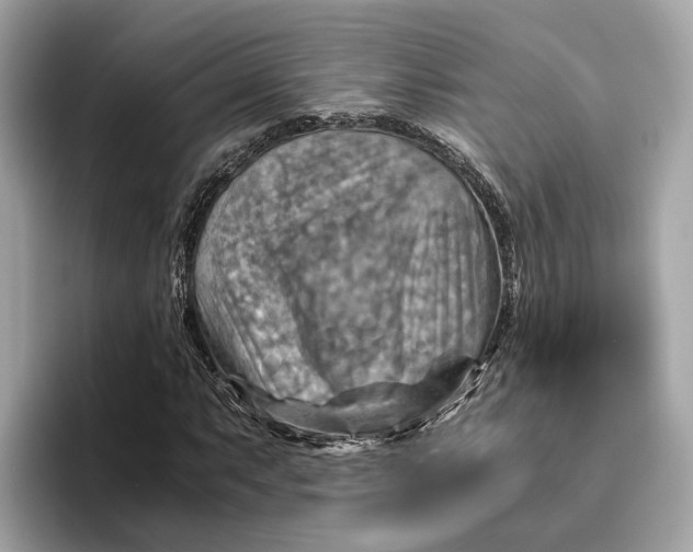 X0000096441063200802141447