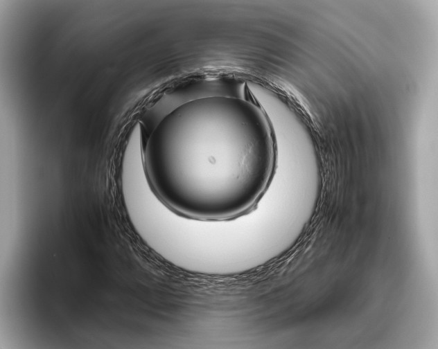 X0000096441064200802141447