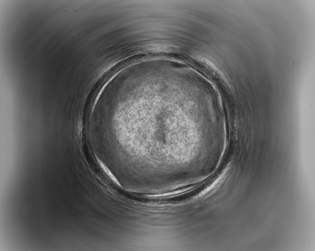 X0000096441065200802141447